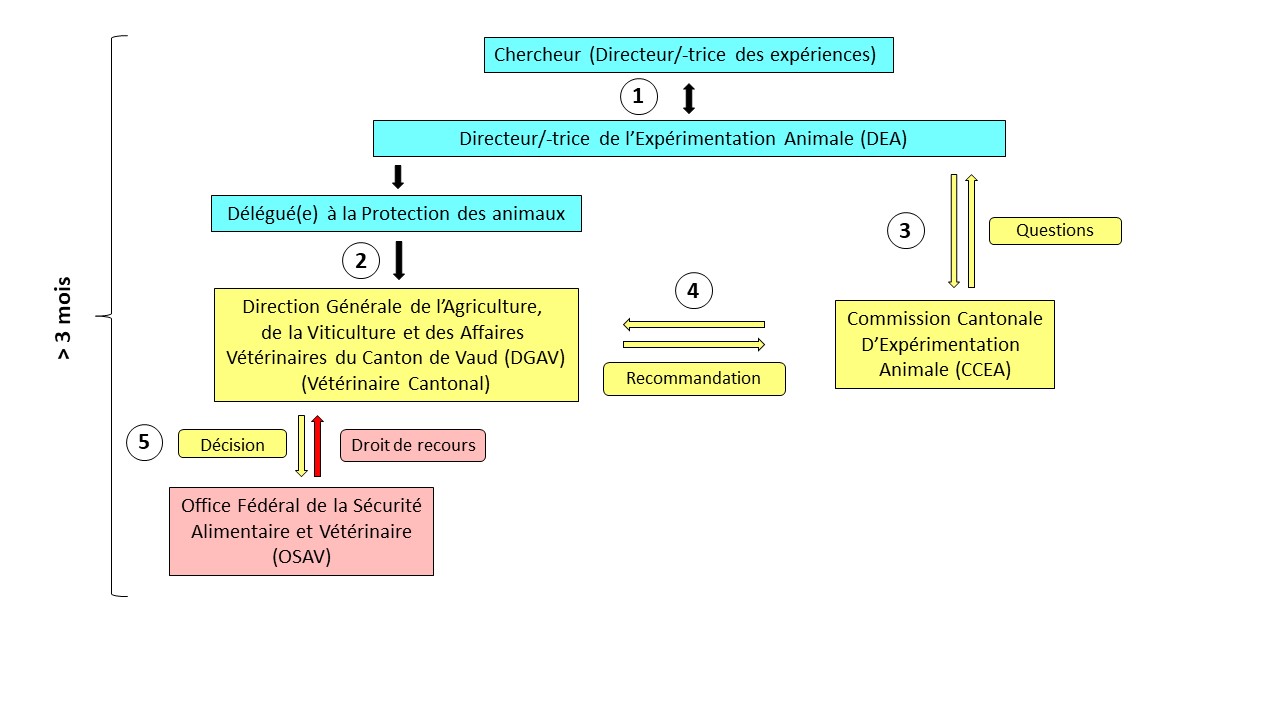 Règlement Et Autorisations - FBM UNIL